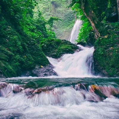 亚市早盘黄金因可能出现技术性回调而下跌